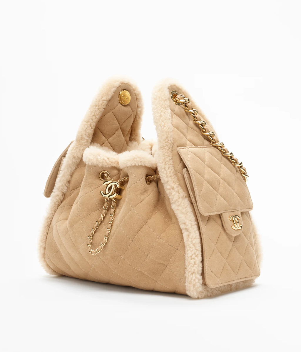 CHANEL 25 Small Handbag
