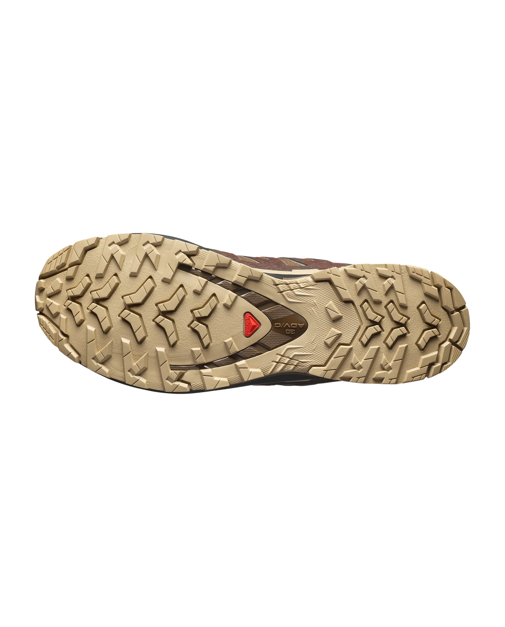 Salomon XA PRO 3D V9 GORE-TEX Dark Earth / Desert Tan / Black