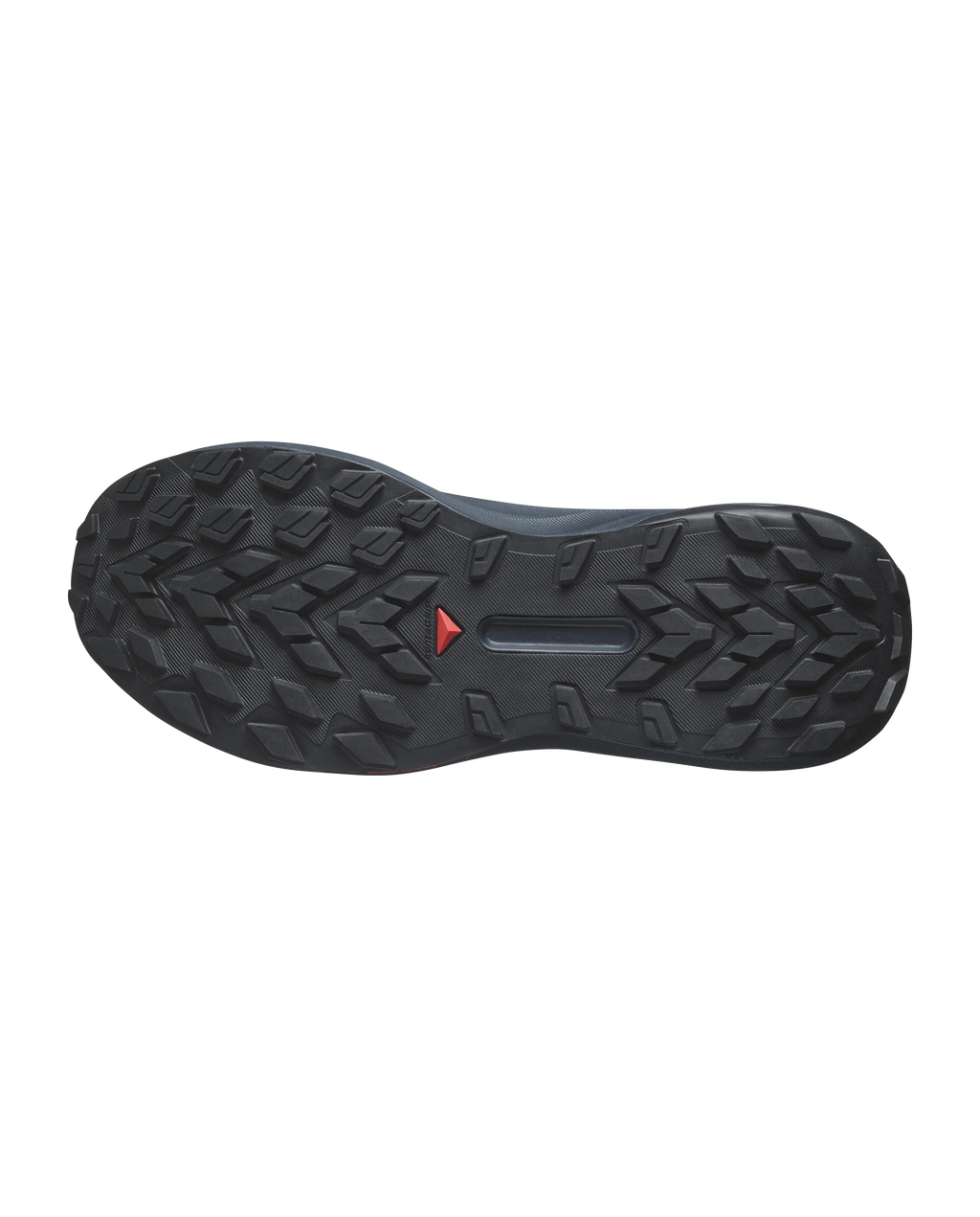 Salomon GENESIS  Carbon / Tahitian Tide / Quiet Shade