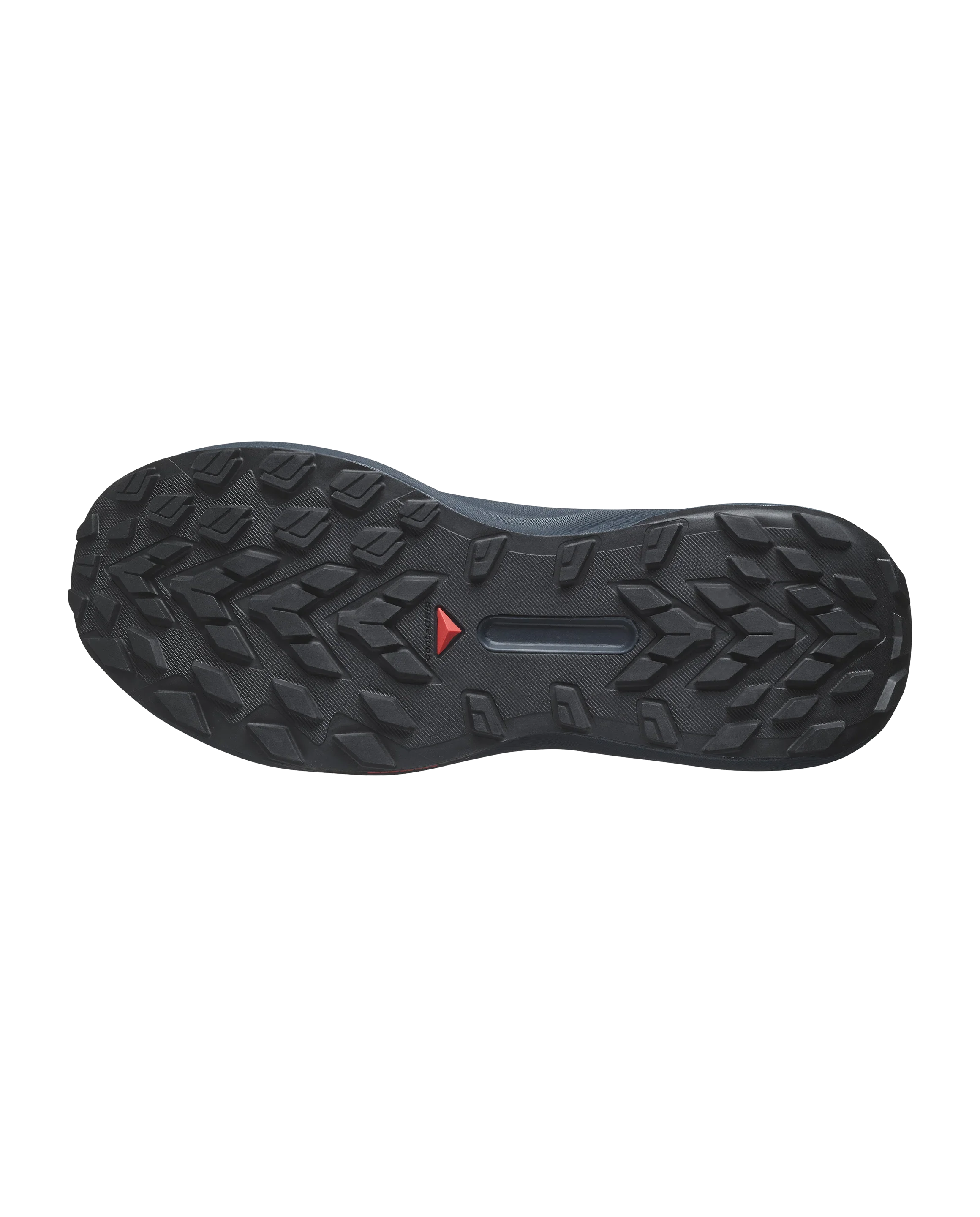 Salomon GENESIS  Carbon / Tahitian Tide / Quiet Shade