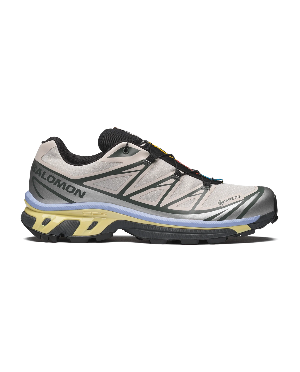 XT-6 GTX - Silver Cloud / Urban Chic / Shadow Green